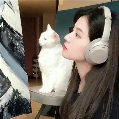 消失的大象