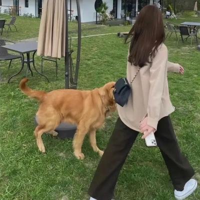 叛世情花