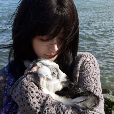 虞美人盛开的山坡
